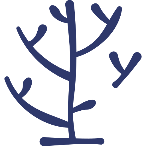 Голое дерево Basic Hand Drawn Lineal Color иконка