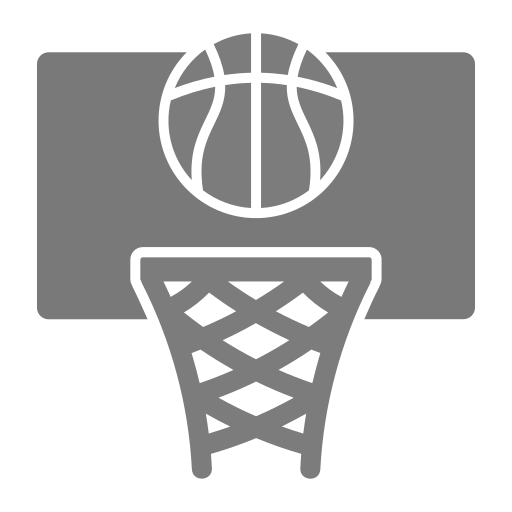 basketball Generic Grey Icône