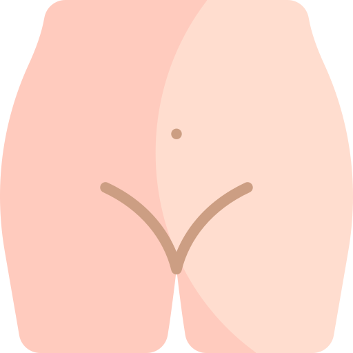 vagina Kawaii Flat icona