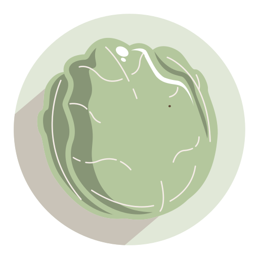 Cabbage Generic Flat icon