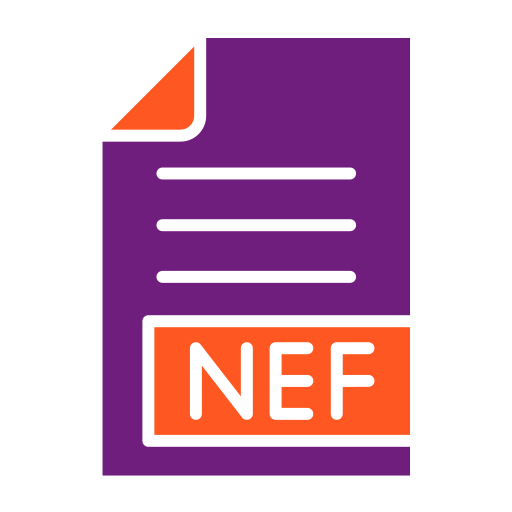 Nef Generic Flat icon