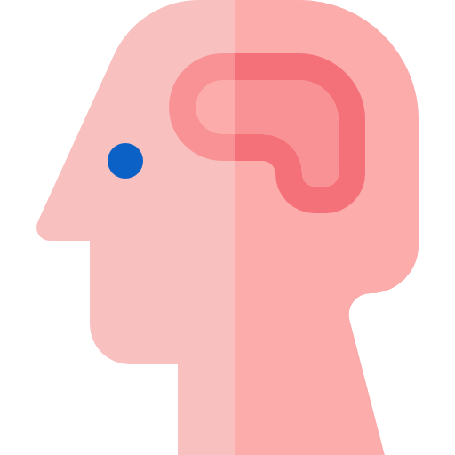 Мозг Basic Straight Flat иконка