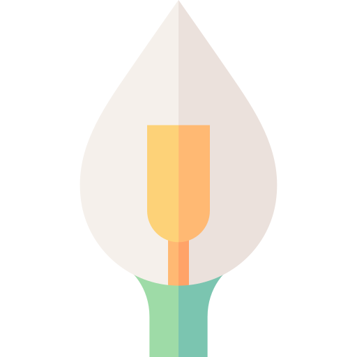 paz lily Basic Straight Flat icono