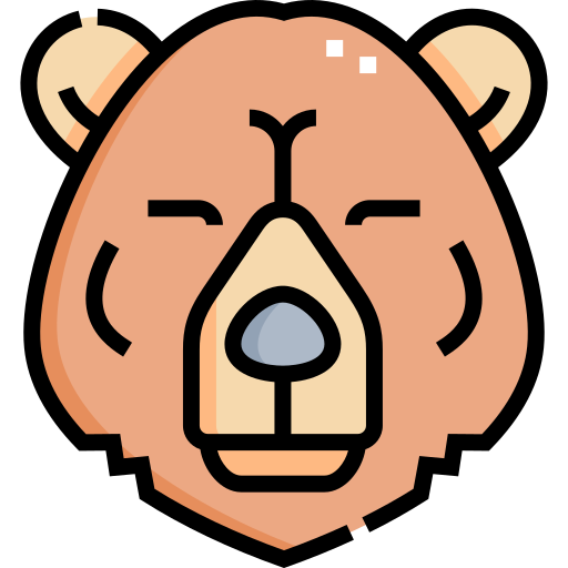 곰 Detailed Straight Lineal color icon