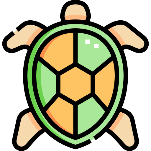 Turtle Detailed Straight Lineal color icon