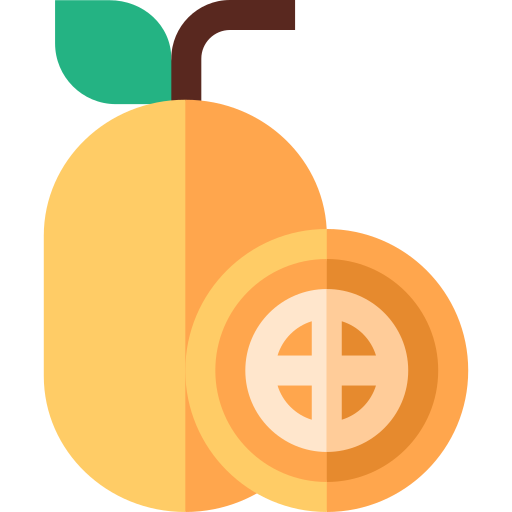 naranja china Basic Straight Flat icono