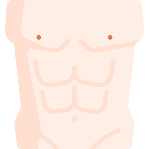 cuerpo Special Flat icono