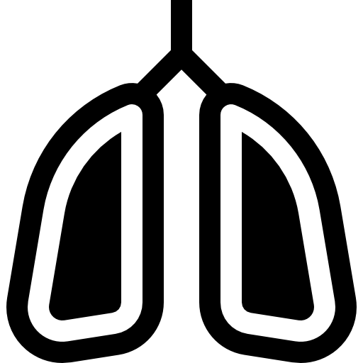 polmoni Basic Straight Filled icona