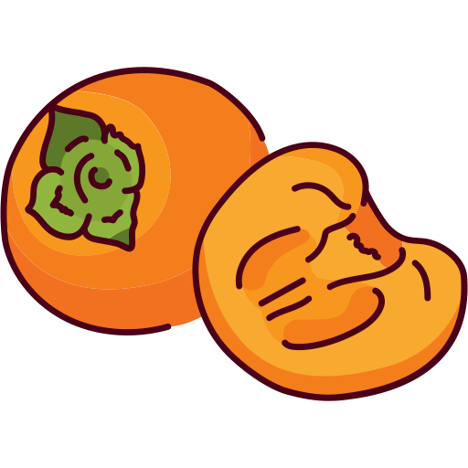 persimmon Generic Outline Color icon