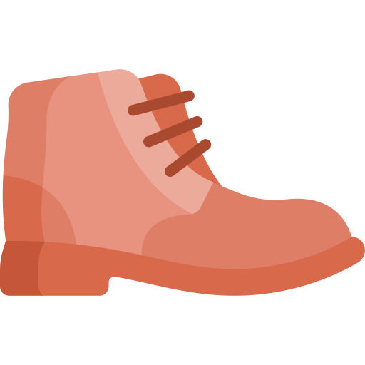 Обувь Special Flat иконка