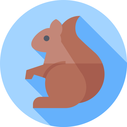 eichhörnchen Flat Circular Flat icon