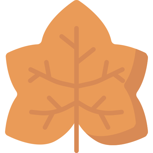 Leaf Special Flat icon