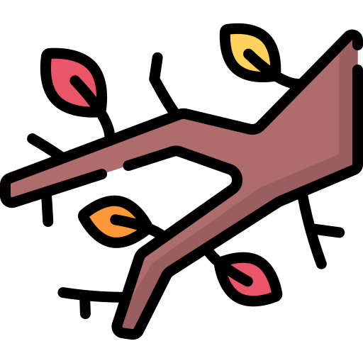 Branch Special Lineal color icon