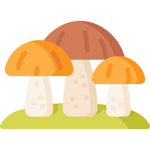 Mushroom Special Flat icon