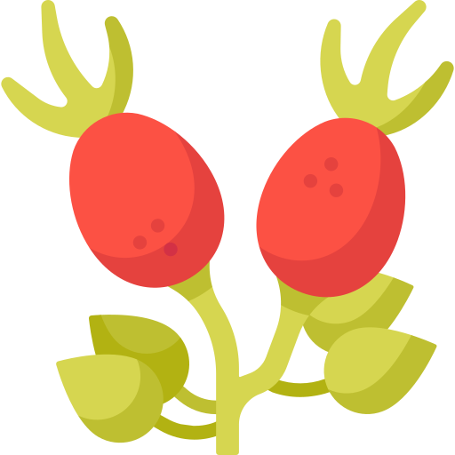 Rose hip Special Flat icon