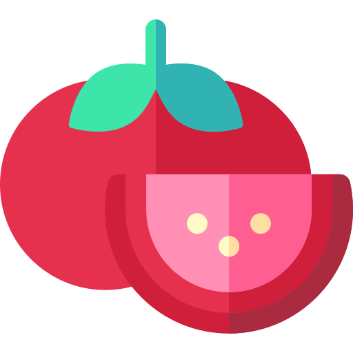tomate Basic Rounded Flat icon