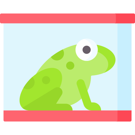 개구리 Special Flat icon