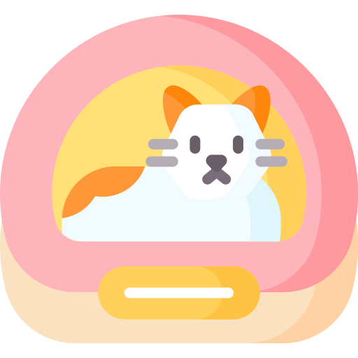 кошка Special Flat иконка