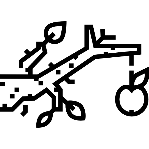 フルーツ Detailed Straight Lineal icon