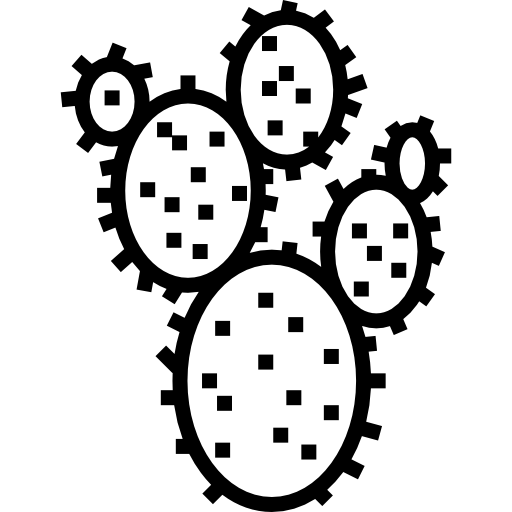 ウチワサボテン Detailed Straight Lineal icon