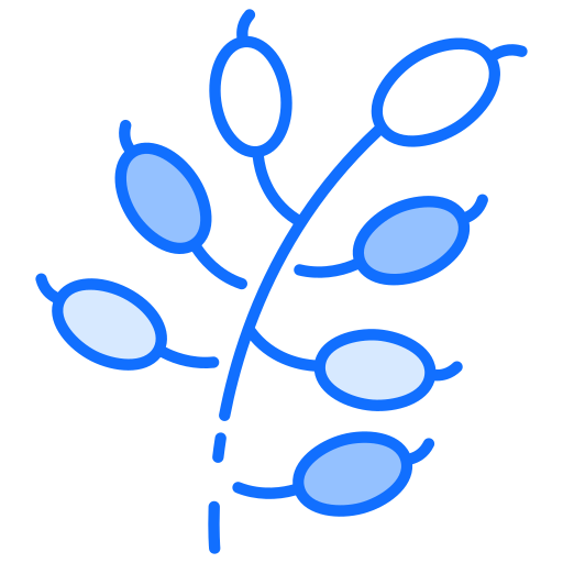 bérbero Generic Blue icono