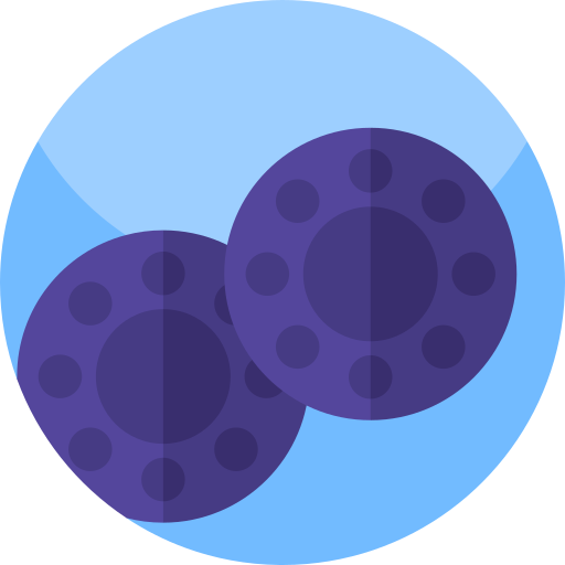 Puck Geometric Flat Circular Flat icon