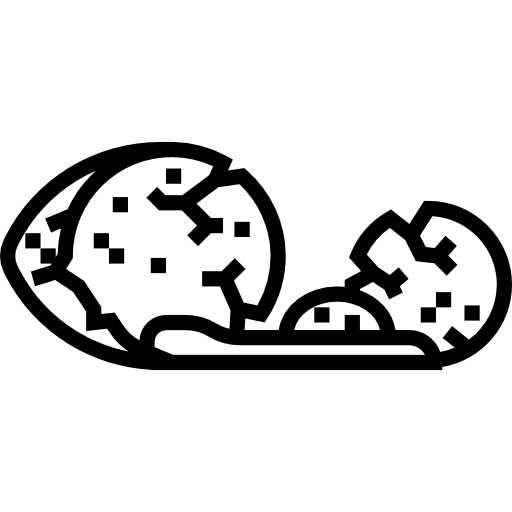 huevo Detailed Straight Lineal icono