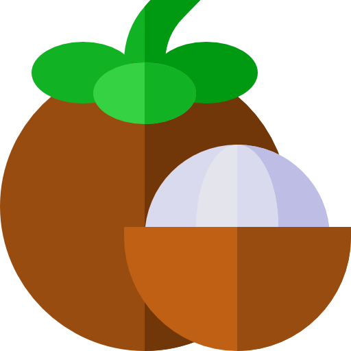 Mangosteen Basic Straight Flat icon