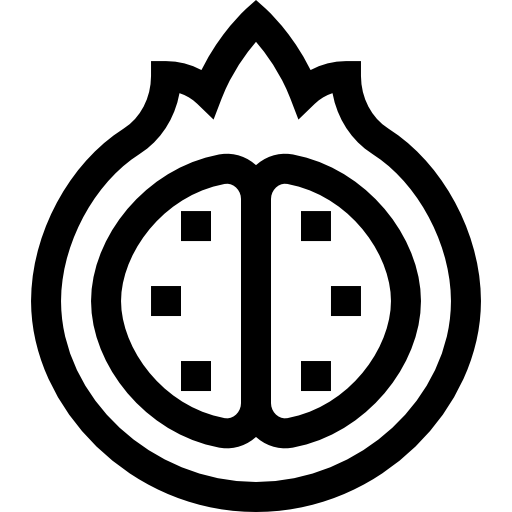 granaatappel Basic Straight Lineal icoon