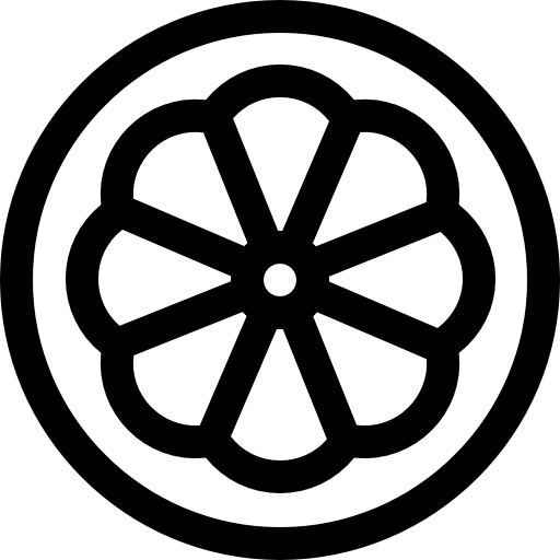 オレンジスライス Basic Straight Lineal icon