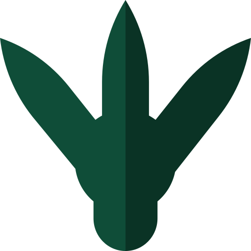 Theropoda Basic Straight Flat icon
