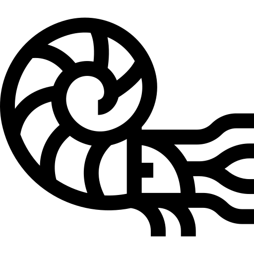 ammonoide Basic Straight Lineal icona