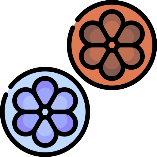 한과 Special Lineal color icon