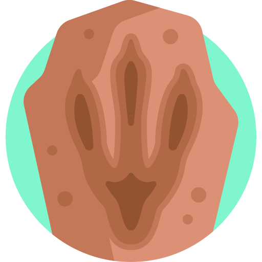 orma Detailed Flat Circular Flat icona