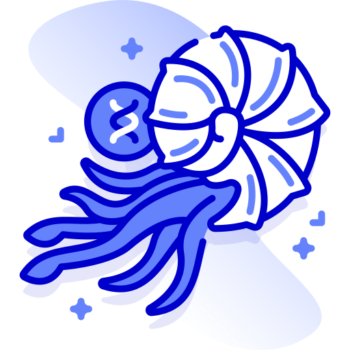 Ammonite Special Ungravity Lineal icon