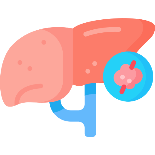 cáncer de hígado Special Flat icono