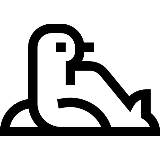 foca Basic Straight Lineal icona