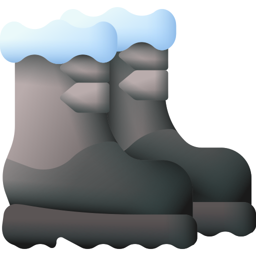 Snow boots 3D Color icon