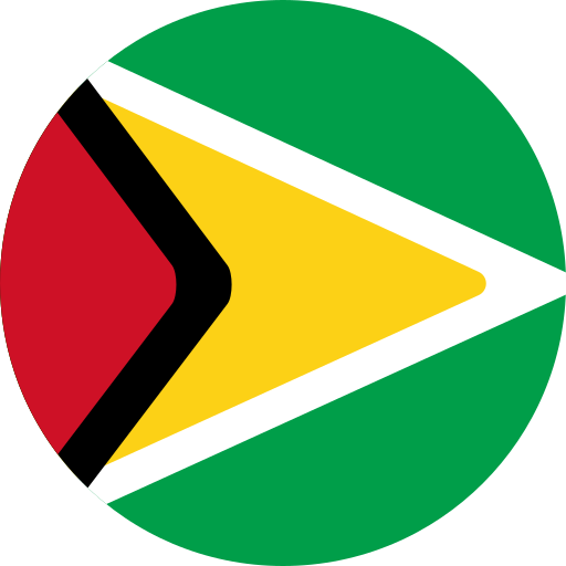 Guyana Generic Flat icon