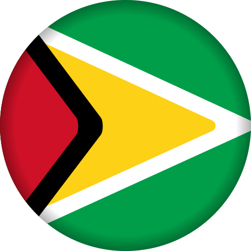 Guyana Generic Flat Gradient icon
