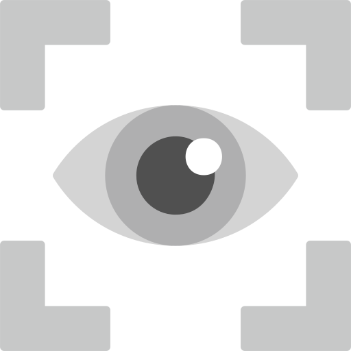 vision Generic Grey Icône