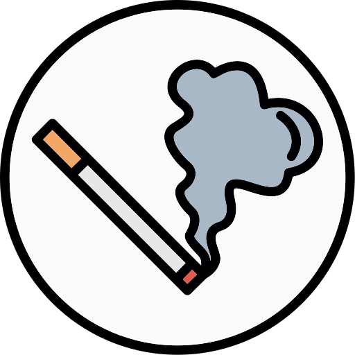 fumo Generic Outline Color icona