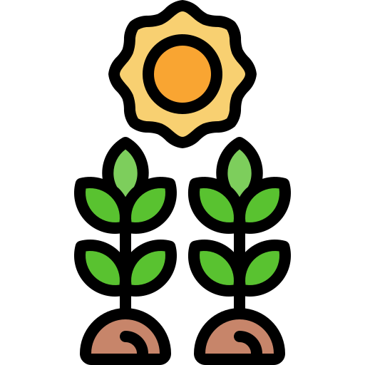 Photosynthesis Generic Outline Color icon