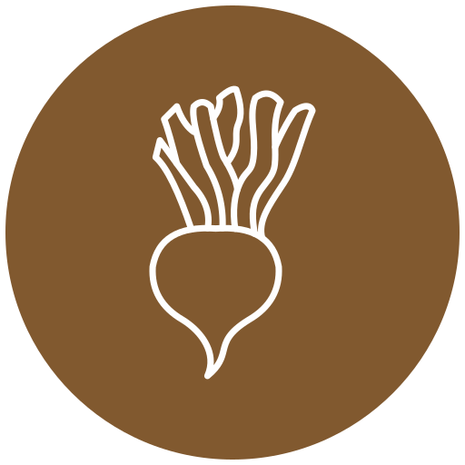 Turnip Generic Flat icon