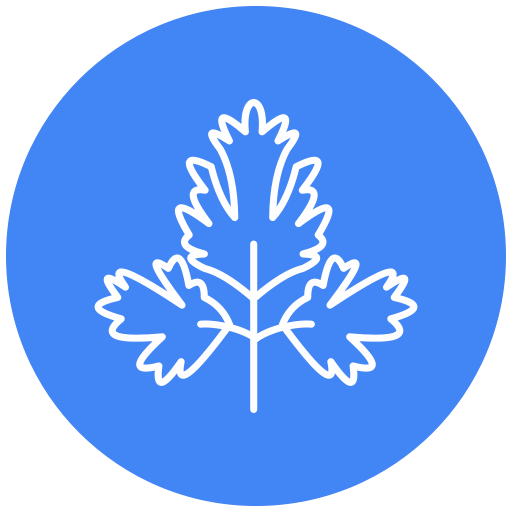 perejil Generic Flat icono