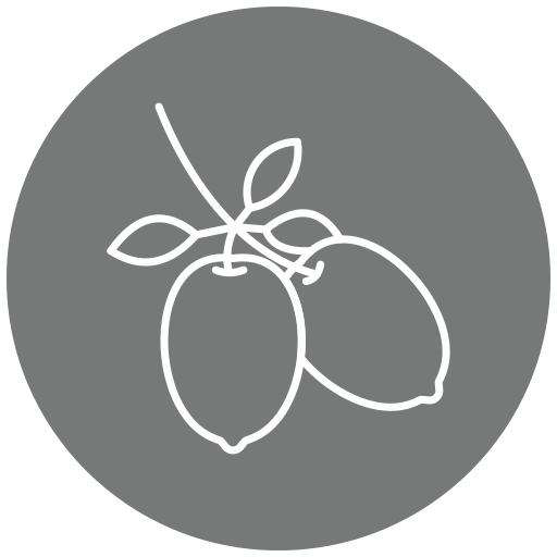 Оливки Generic Flat иконка