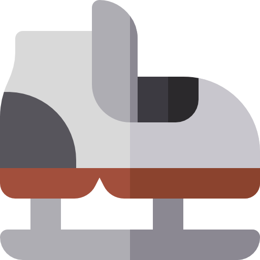 eislaufen Basic Rounded Flat icon