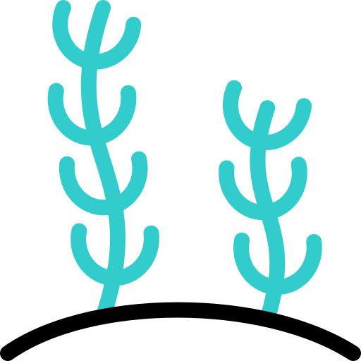 Seaweed Basic Accent Outline icon
