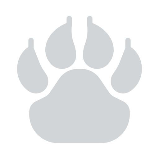 Pawprint Vector Stall Flat icon