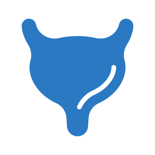 膀胱 Generic Blue icon